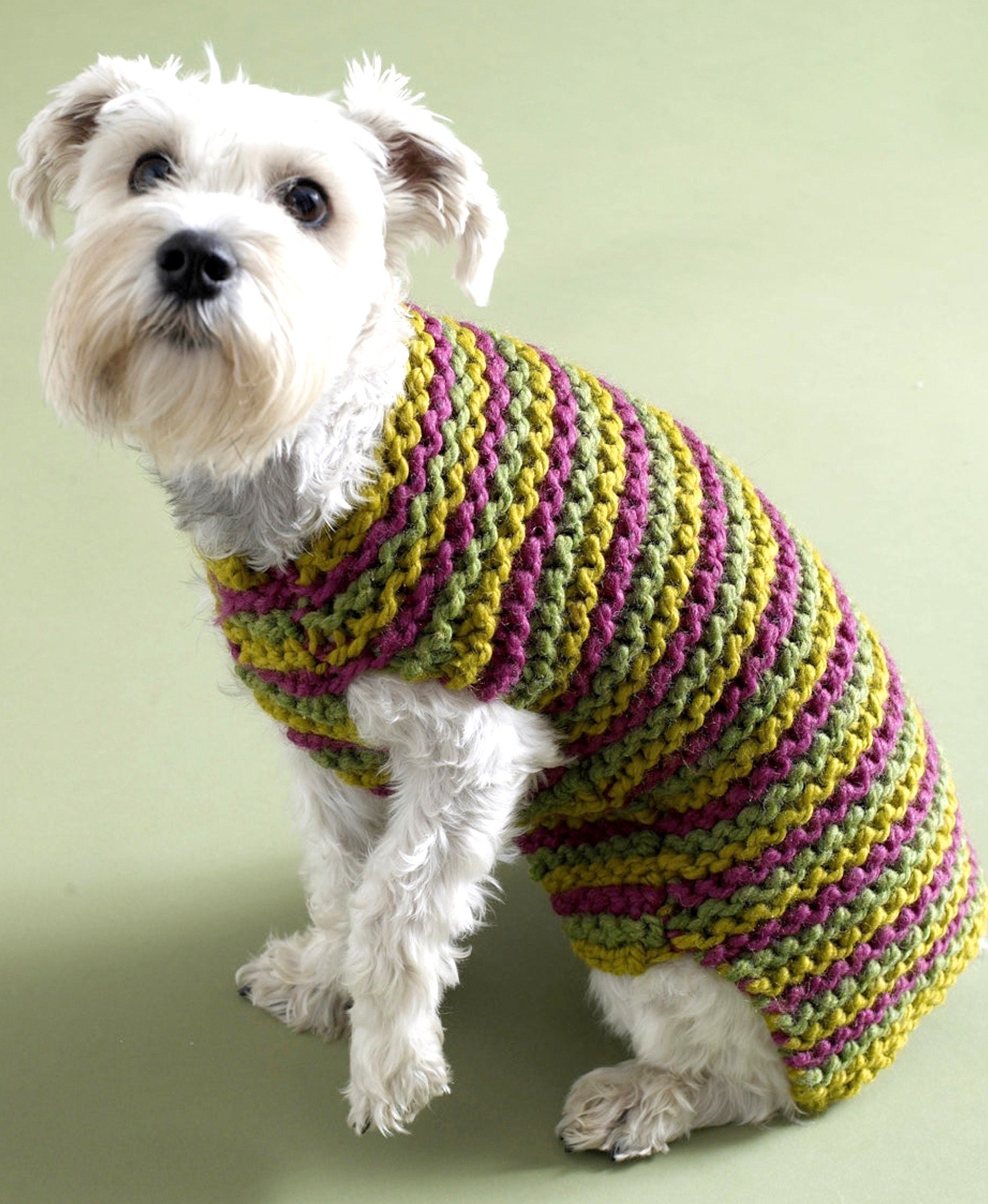 Combed Cotton Cable Knit Dog Sweater - Oatmeal Small