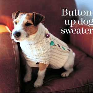 May include: A white knitted dog sweater with button closures. The sweater is on a small, white and brown dog sitting on a brown leather chair. The text "Button-up dog sweater" is in white text on a light blue background.