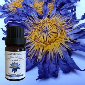May include: A small amber glass bottle of blue lotus essential oil with a black cap. The label reads "Blue lotus Essential oil" with a blue lotus flower illustration. The background features dried blue and yellow lotus flowers.