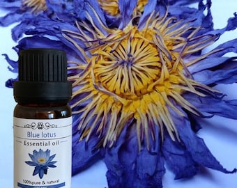 Blue Lotus Essential Oil – Pure Floral Aromatherapy, Relaxation (10ml)