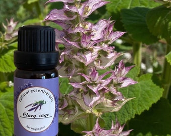 Pure Clary Sage Essential Oil - Herbal Elegance and Natural Balance - 100% Natural and Therapeutic Grade - 10ml Bottle