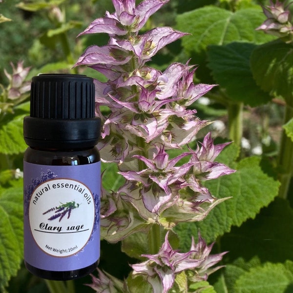 Pure Clary Sage Essential Oil - Herbal Elegance and Natural Balance - 100% Natural and Therapeutic Grade - 10ml Bottle