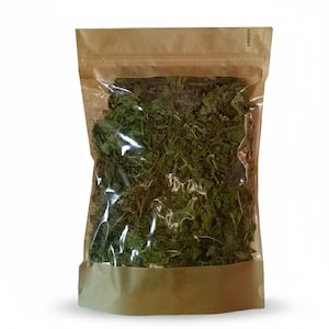 Nettle Leaf Herbal Tea Wild Harvested Urtica Dioica European Spring Greens Classic
