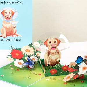 Carte de rétablissement, cadeau de sympathie, rétablissement rapide, je pense à vous, vous me manquez, rétablissement rapide, au moins vous n'êtes pas obligé de porter un chien conique