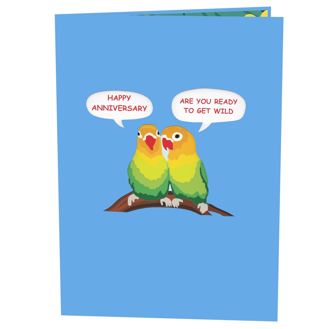 Funny Anniversary Card Inappropriate Love Birds Pop Up 3D | Etsy