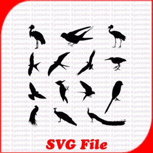 Vários vetores de silhueta de pássaros SVG 2, svg, dxf, Cricut, arquivo de corte de silhueta, download instantâneo