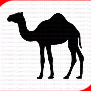 Camel Silhouette SVG, svg, dxf, Cricut, Silhouette Cut File, Download istantaneo