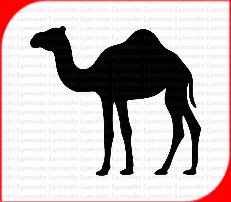 Camel Silhouette SVG Svg Dxf Cricut Silhouette Cut File Etsy