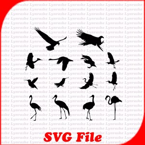 Vários vetores de silhueta de pássaros SVG 1, svg, dxf, Cricut, arquivo de corte de silhueta, download instantâneo