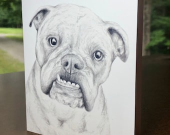 Bulldog // Greeting Card // Blank Card
