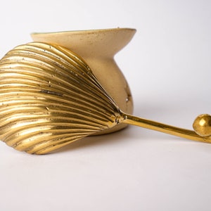 Bronze Shell Hooks for Wall Decor