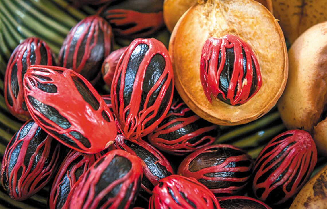 Premium Organic Nutmeg Seed Cover pure Ceylon Etsy UK