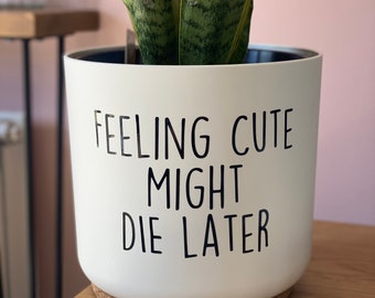 Funny plant pun vinyl sticker for plant pot.