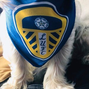 leeds united dog shirt