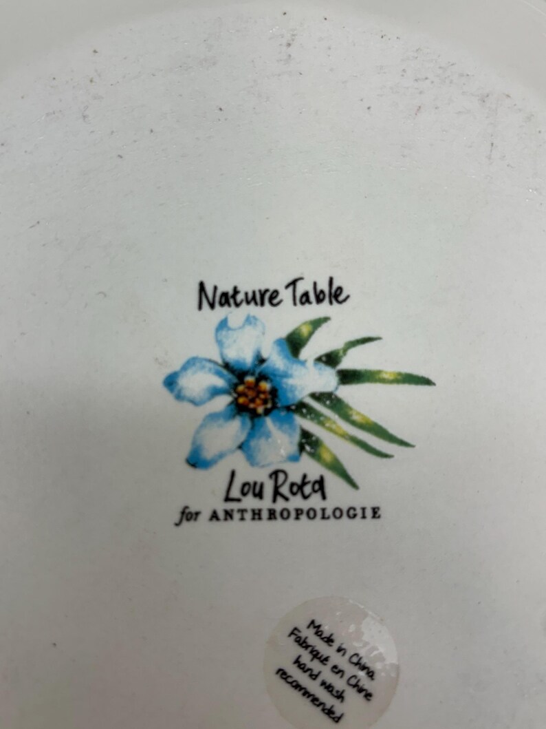 Puede incluir: Plato de cer&aacute;mica blanco con dise&ntilde;o floral y el texto "Nature Table" y "Lou Rota for ANTHROPOLOGIE". El plato presenta una ilustraci&oacute;n de flor azul con hojas verdes.