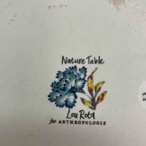 Puede incluir: Plato de cer&aacute;mica blanco con un dise&ntilde;o floral en azul, amarillo y rojo. El plato presenta el texto "Nature Table" y "Lou Rota for ANTHROPOLOGIE".