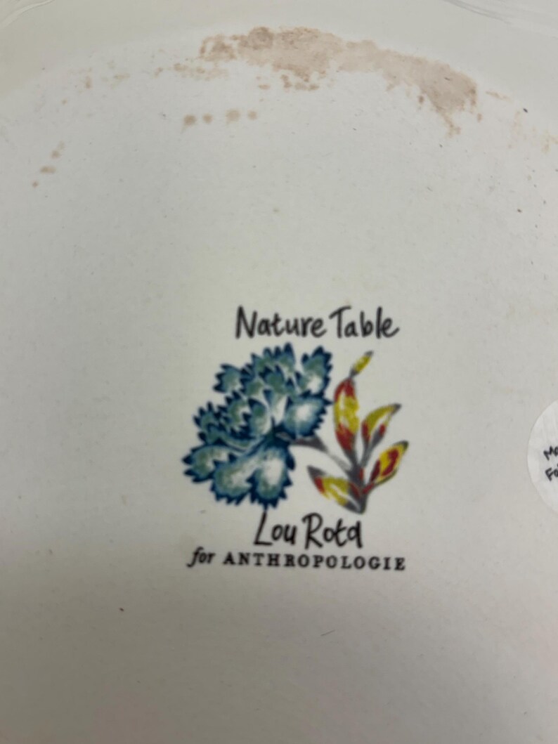 Puede incluir: Plato de cer&aacute;mica blanco con un dise&ntilde;o floral en azul, amarillo y rojo. El plato presenta el texto "Nature Table" y "Lou Rota for ANTHROPOLOGIE".
