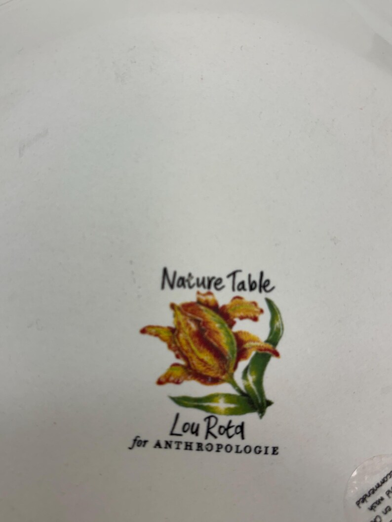 Puede incluir: Plato de cer&aacute;mica blanca con un dise&ntilde;o floral y texto que dice "Nature Table" y "Lou Rota for Anthropologie". El dise&ntilde;o floral presenta una flor amarilla y roja con hojas verdes.