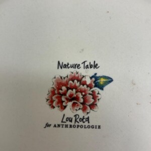 Puede incluir: Un plato de cer&aacute;mica blanco con un dise&ntilde;o floral y el texto "Nature Table" y "Lou Rota for Anthropologie". El dise&ntilde;o floral presenta p&eacute;talos rojos y rosas con un acento azul y amarillo.
