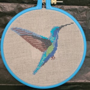 Humming Bird