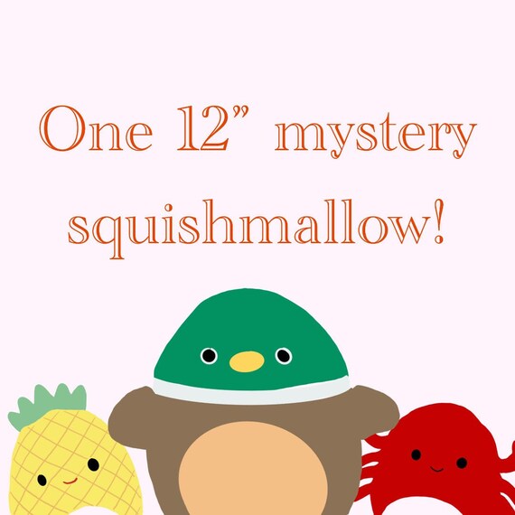 One 12 Mystery Squishmallow | Etsy