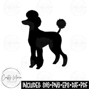 Poodle SVG | Dog Breed - Standard Poodle svg | Poodle Mom PNG , Instant Download - includes svg, png, pdf & eps files