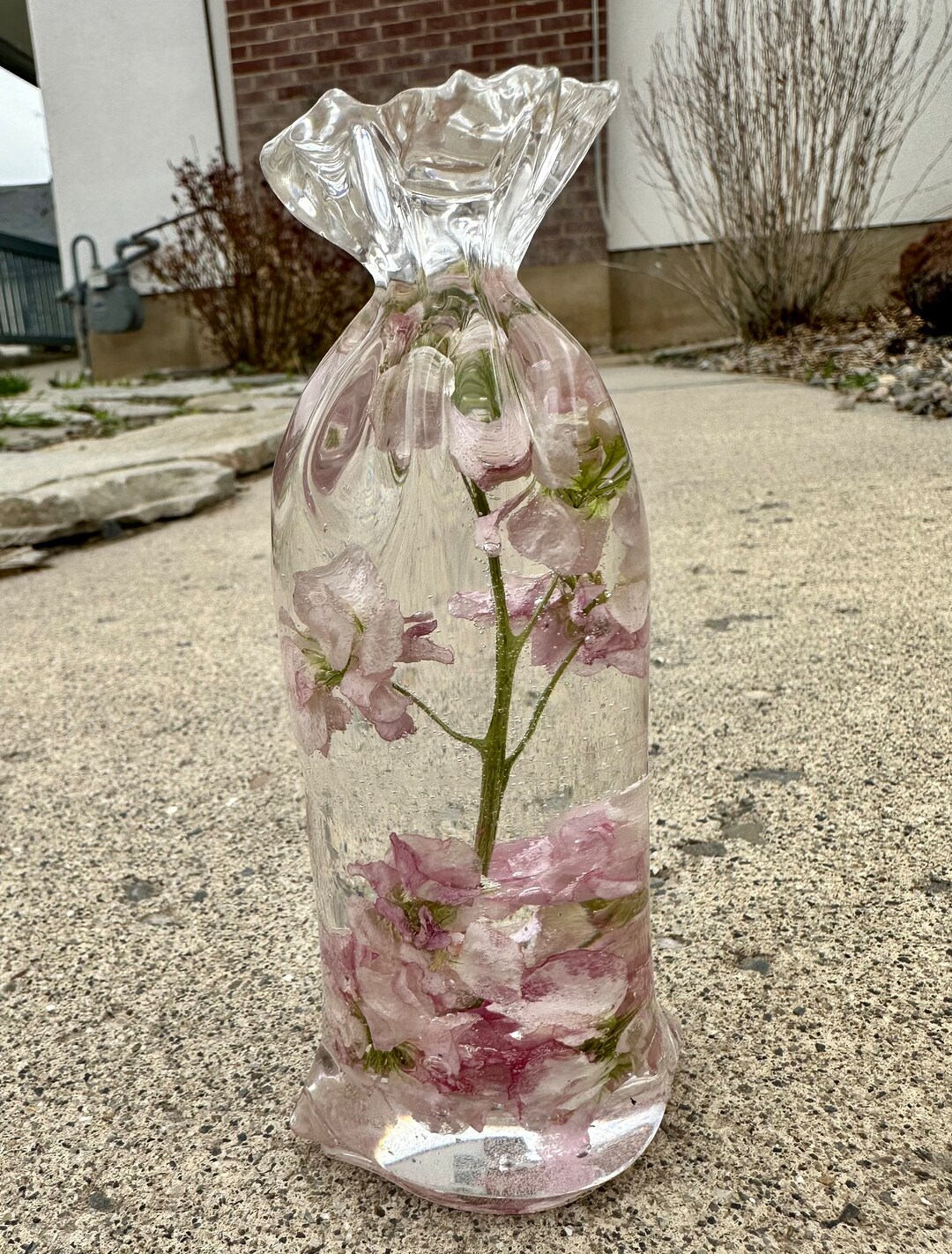 Pink Larkspur Flowers Preserved in Resin Epoxy Bag Real Etsy