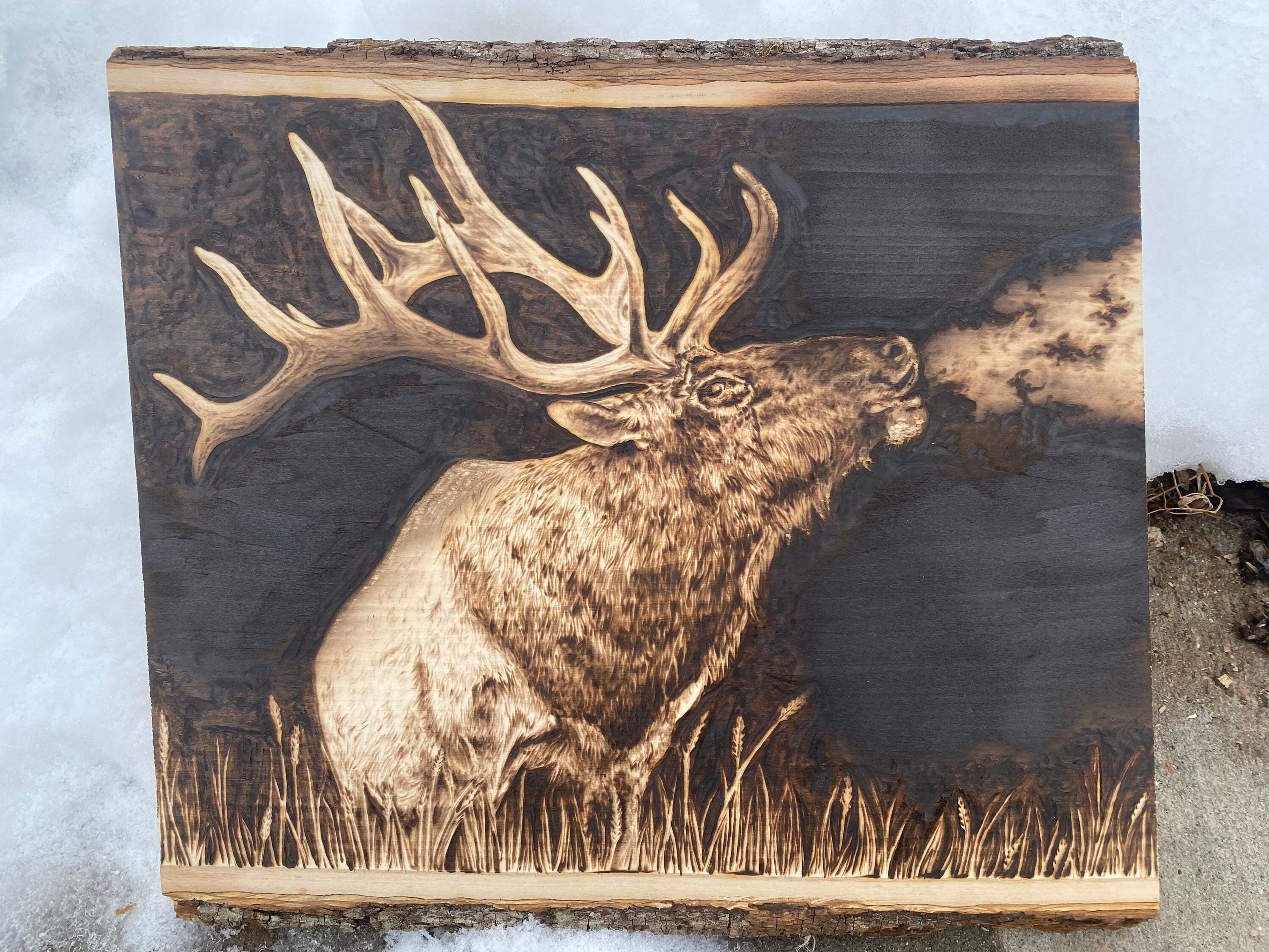 Deer Wood Burns, Fathers Day Gift, Wood Designs, Wood Burning Art, Burned  Sign, Pyrography, Zentangle Art, Wood Wall Décor, Animal Wood, Zen 