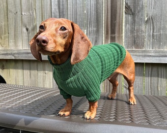 Aangepaste teckel trui voor Wiener hond