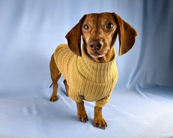 Dachshund Sweater For Wiener Dog