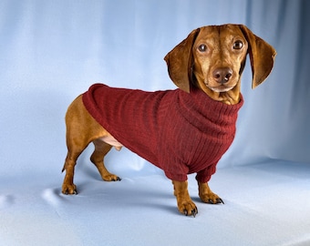 Dachshund Sweater For Wiener Dog