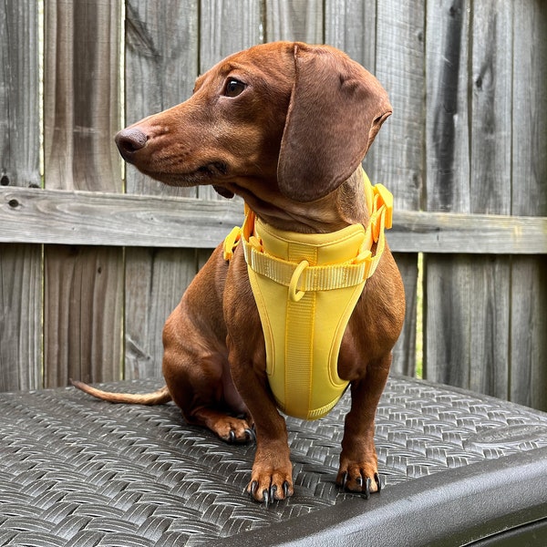 Dachshund Harness Etsy