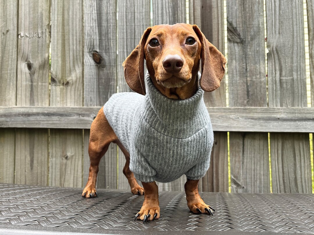 Dachshund Sweater for Wiener Dog Sweater for Dachshund Owner Etsy