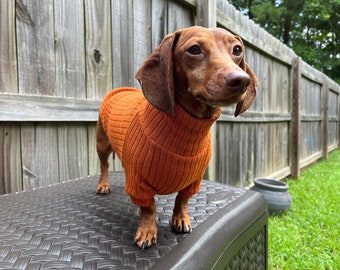 Mini Dachshund Sweater