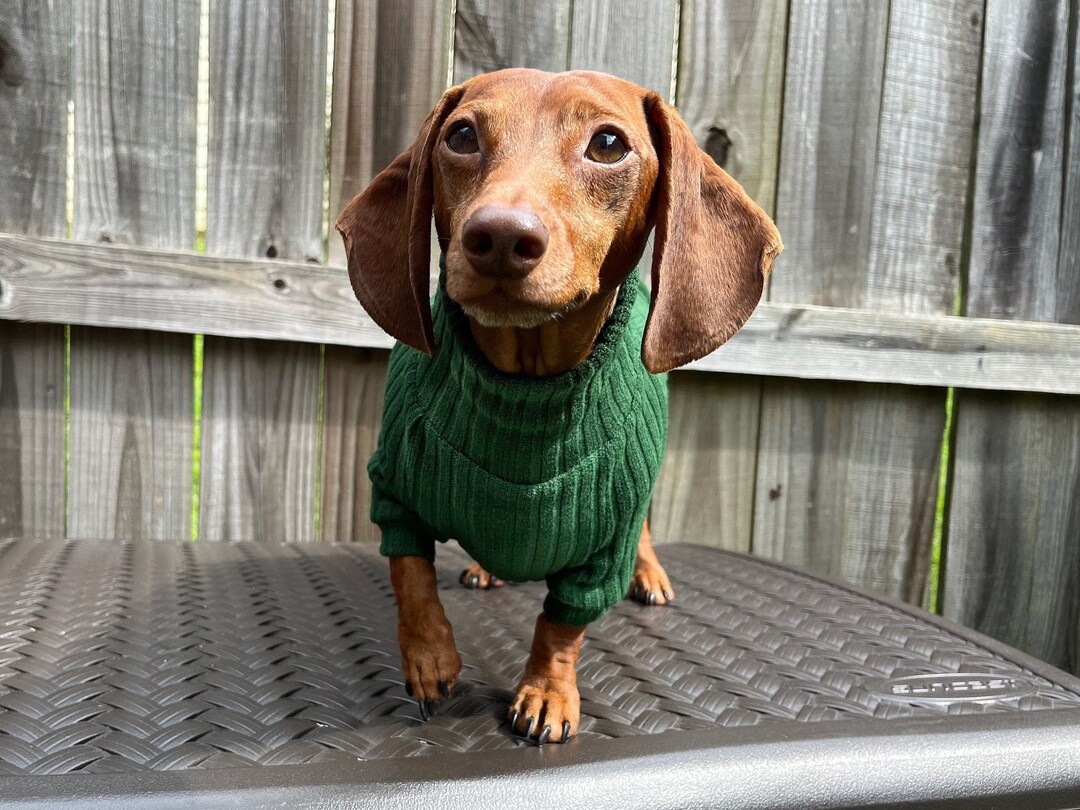 Dachshund Sweater for Wiener Dog Sweater for Dachshund Owner Gift for Dachshund Lover Shirt for