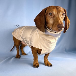 Dachshund Raincoat For Wiener Dog