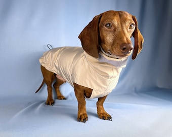 Dachshund Raincoat For Wiener Dog