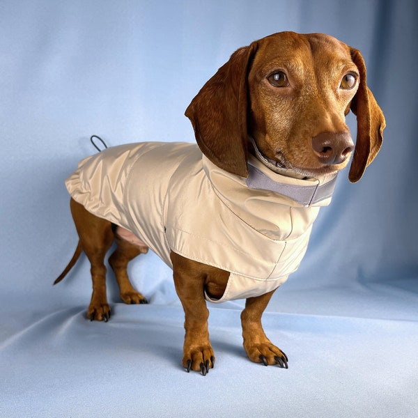 Dachshund Raincoat For Wiener Dog