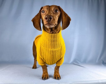 Dachshund Sweater For Wiener Dog Sweater For Dachshund Owner Gift For Dachshund Lover Shirt For Wiener Dog Fleece For Dachshund Clothes