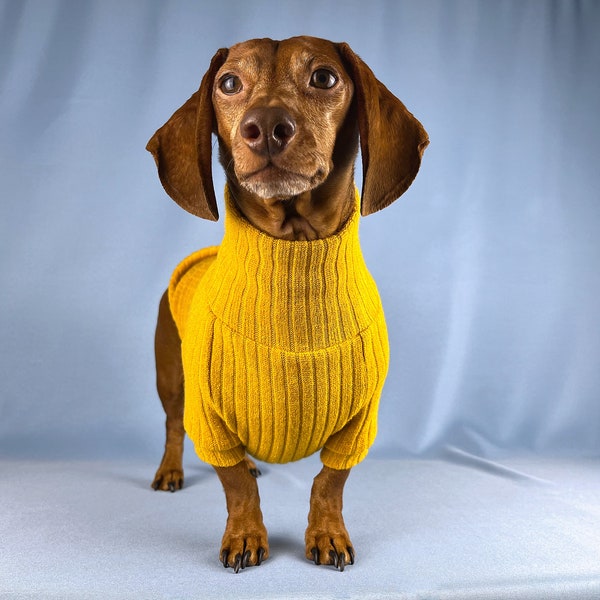 Dachshund Sweater For Wiener Dog Sweater For Dachshund Owner Gift For Dachshund Lover Shirt For Wiener Dog Fleece For Dachshund Clothes