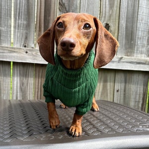 Dachshund Sweater For Wiener Dog