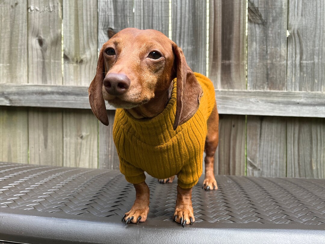Dachshund Sweater for Wiener Dog Sweater for Dachshund Owner Etsy