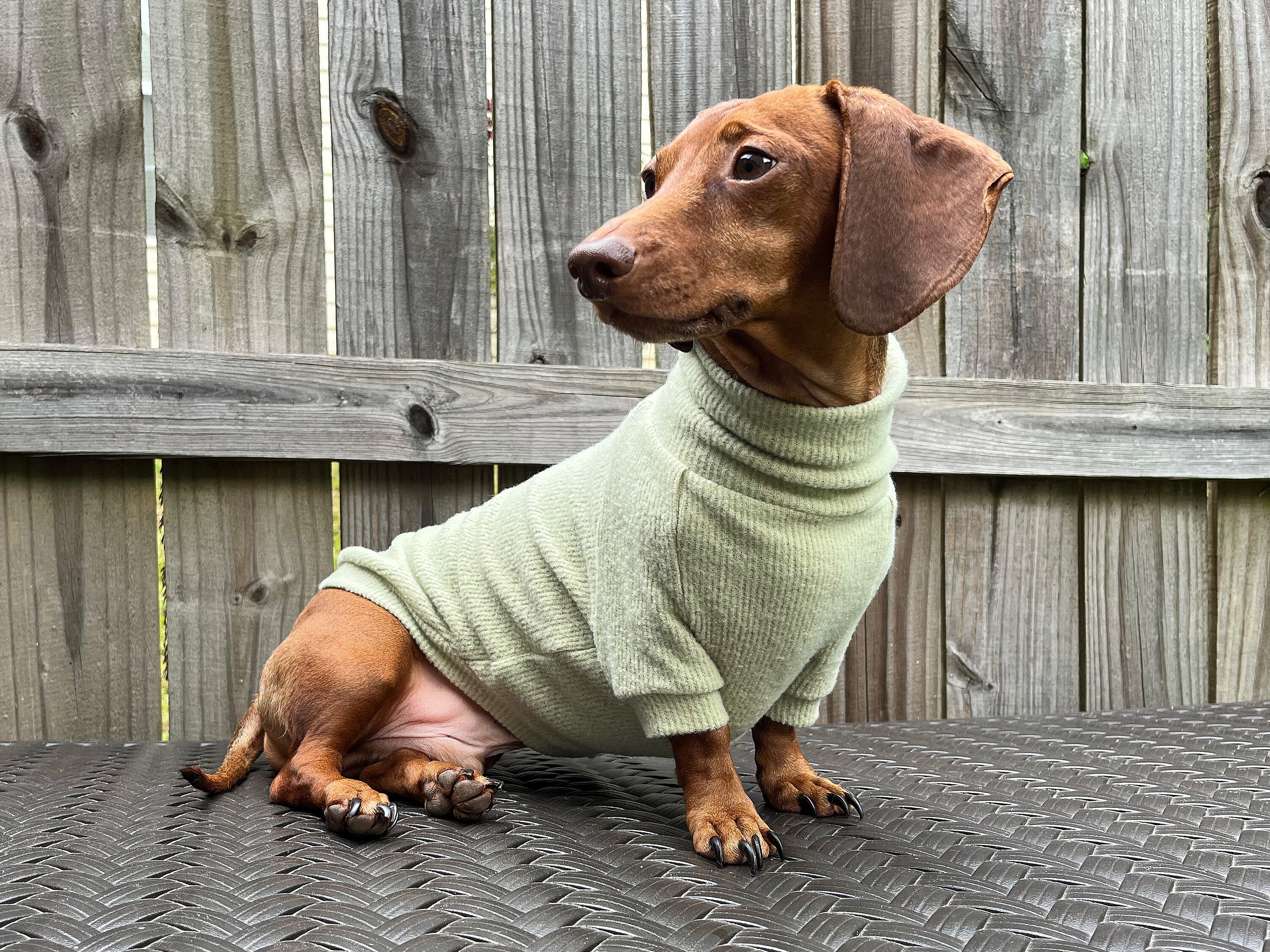 christmas jumper sausage dog