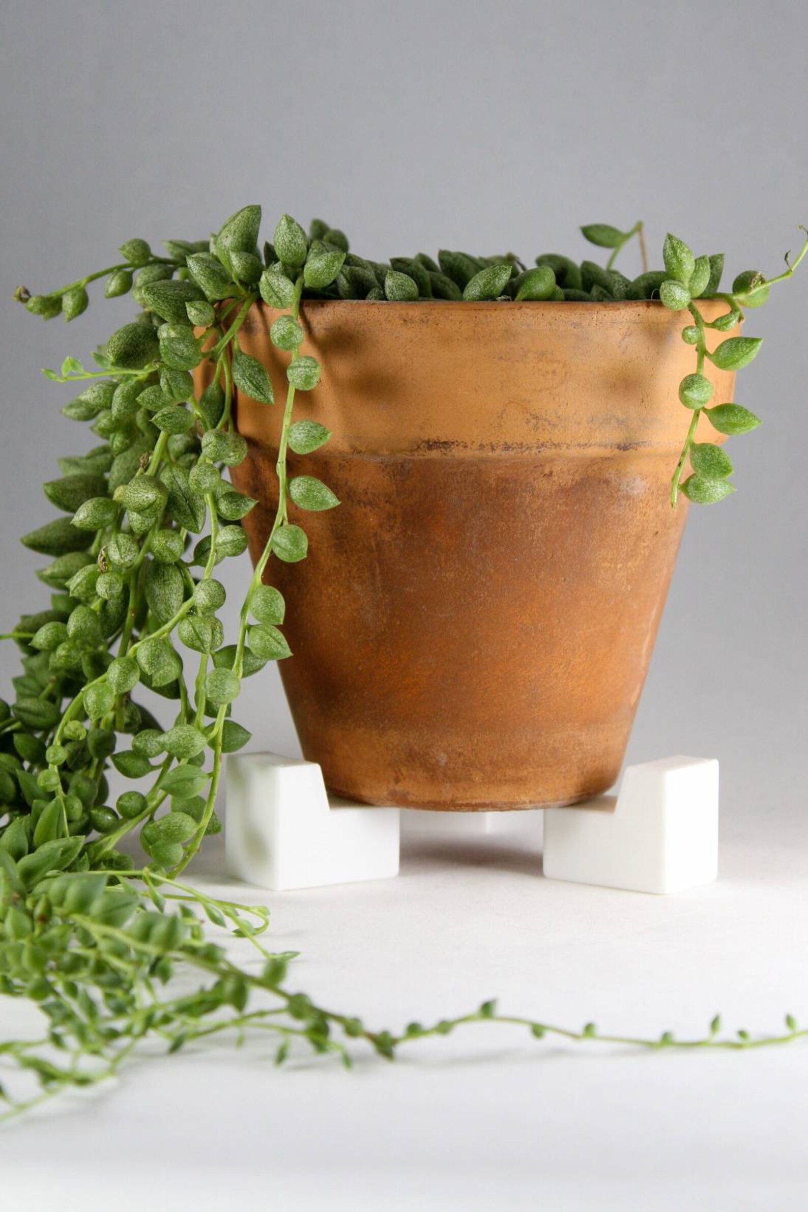 Plant Pot Risers six Risers Etsy