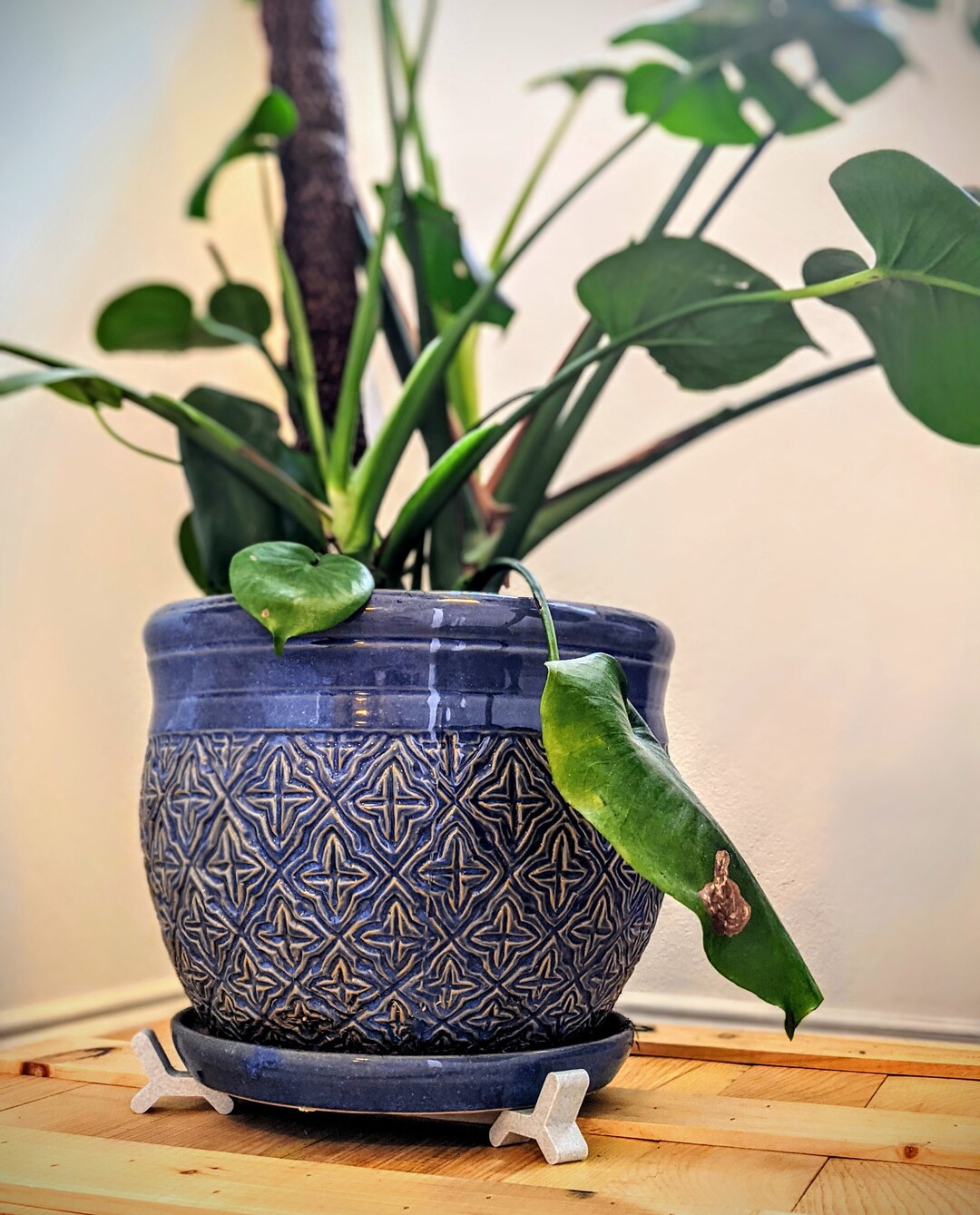 Heavy Duty Plant Pot Risers six Risers Etsy