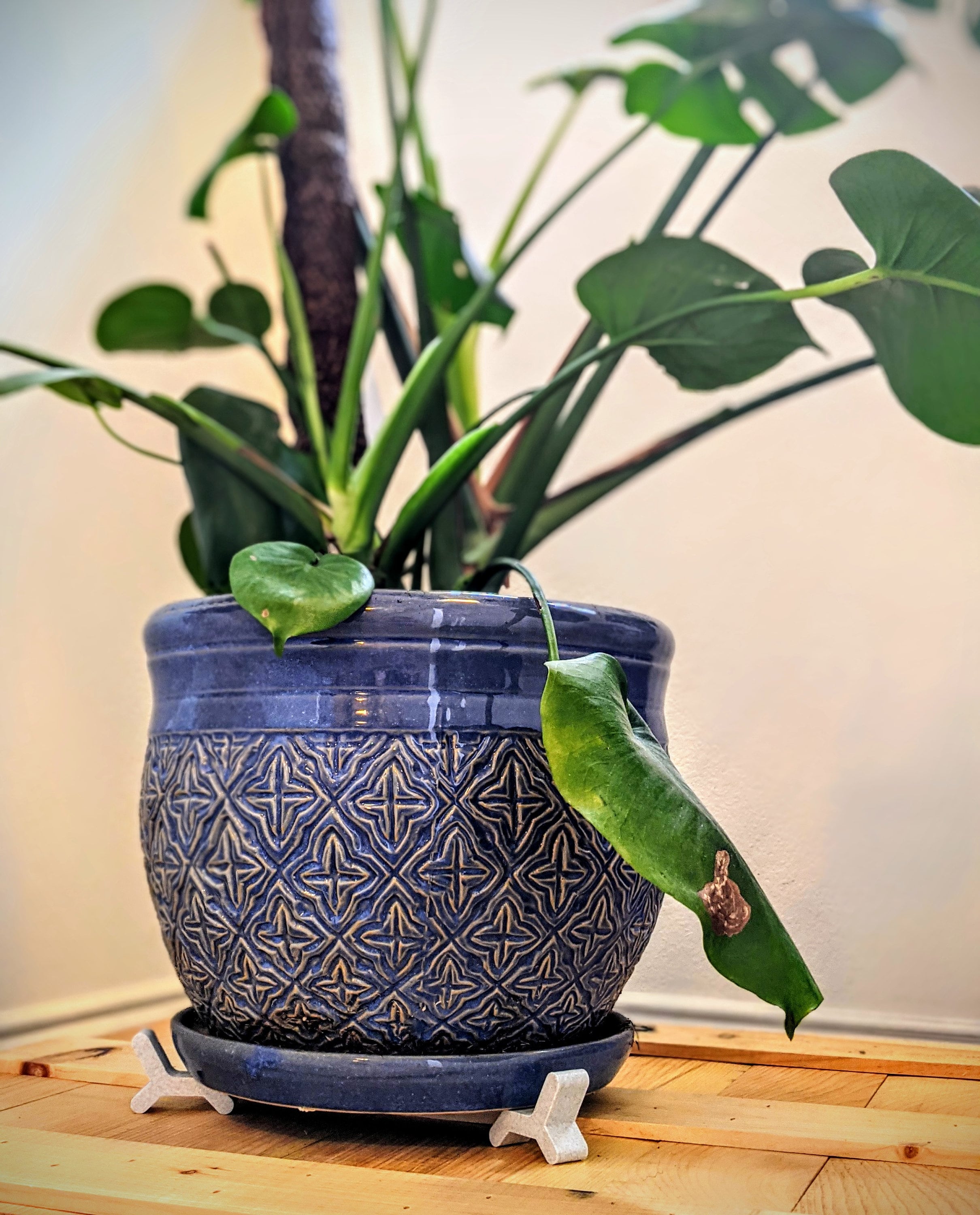 Heavy Duty Plant Pot Risers six Risers Etsy