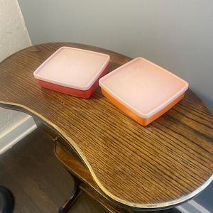 Vintage Tupperware Sandwich Keeper - With Lid - Travel Case - Carrier set if two midcentury modern
