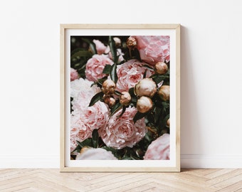 Peony Print, Pink Peony Wall Art, Flower Print, Botanical Print, Fine Art Photography, Digital Download