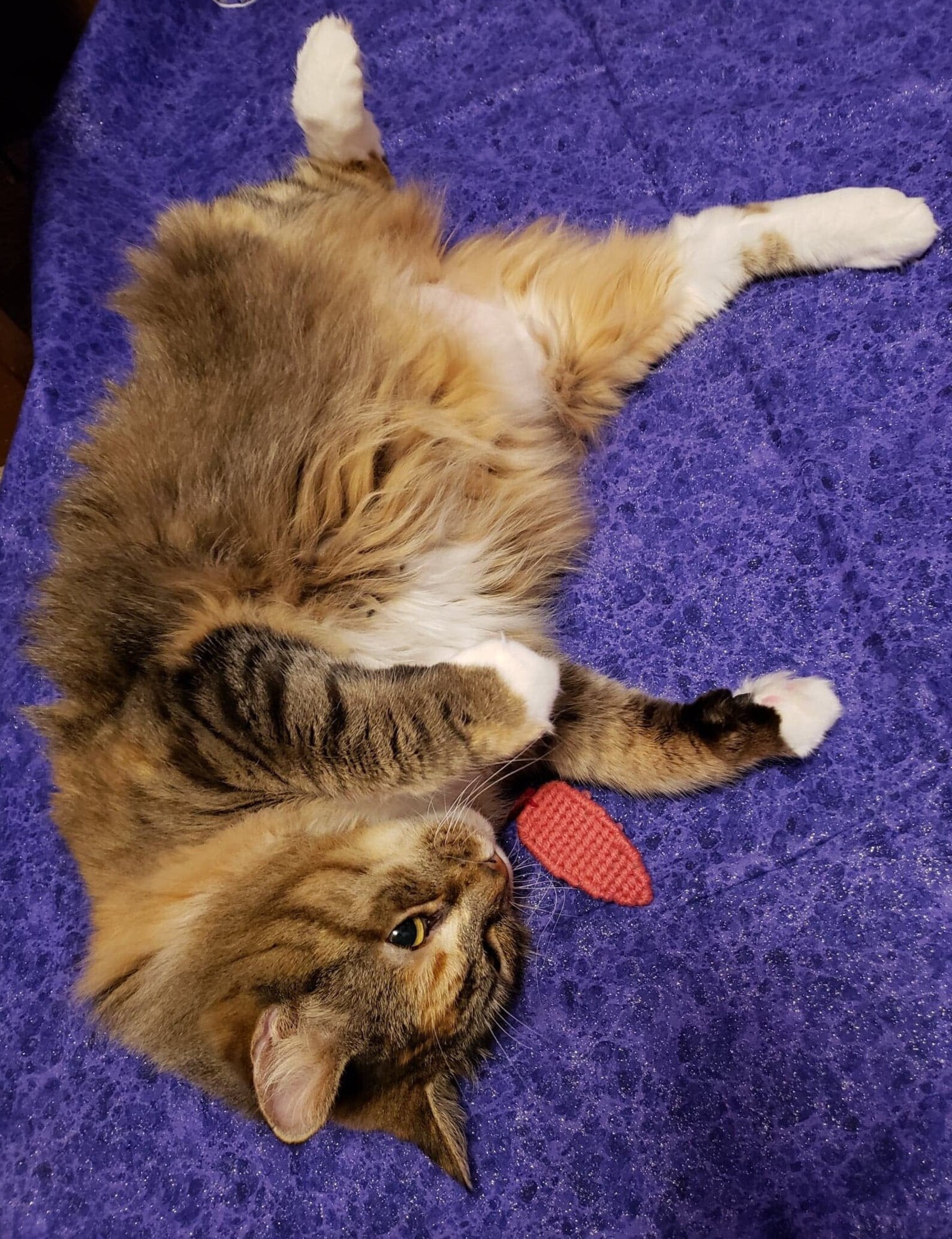 Maus Katze Spielzeug mit Bio Catnip Füllung benutzerdefinierte | Etsy