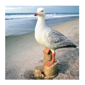 Seagull on stump figurine large (32cm) hand painted indoor or garden ornament or nautical decoration